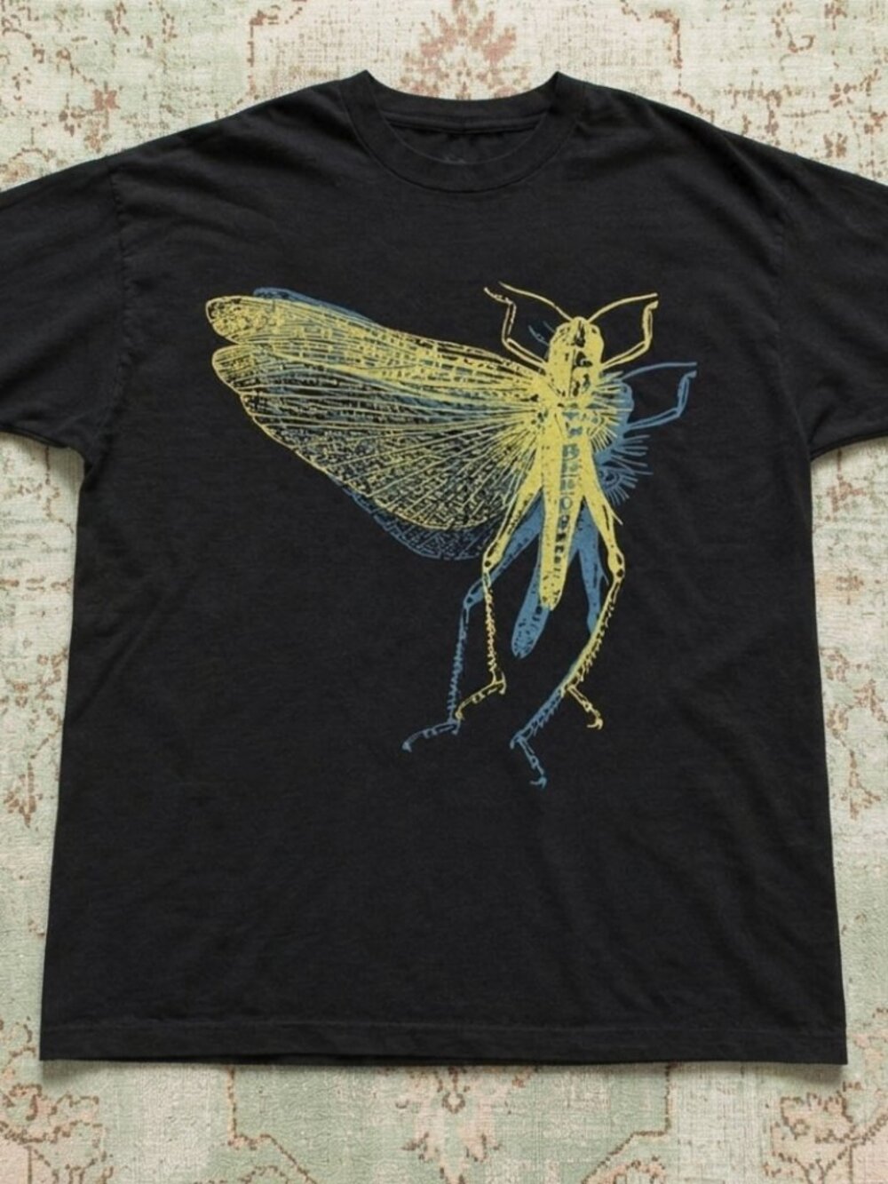 Black The Locust band graphic t-shirt